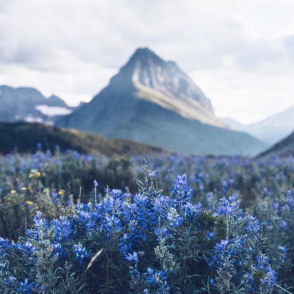 UNDERSTANDING NATURE | INTERNATIONAL MOUNTAIN DAY