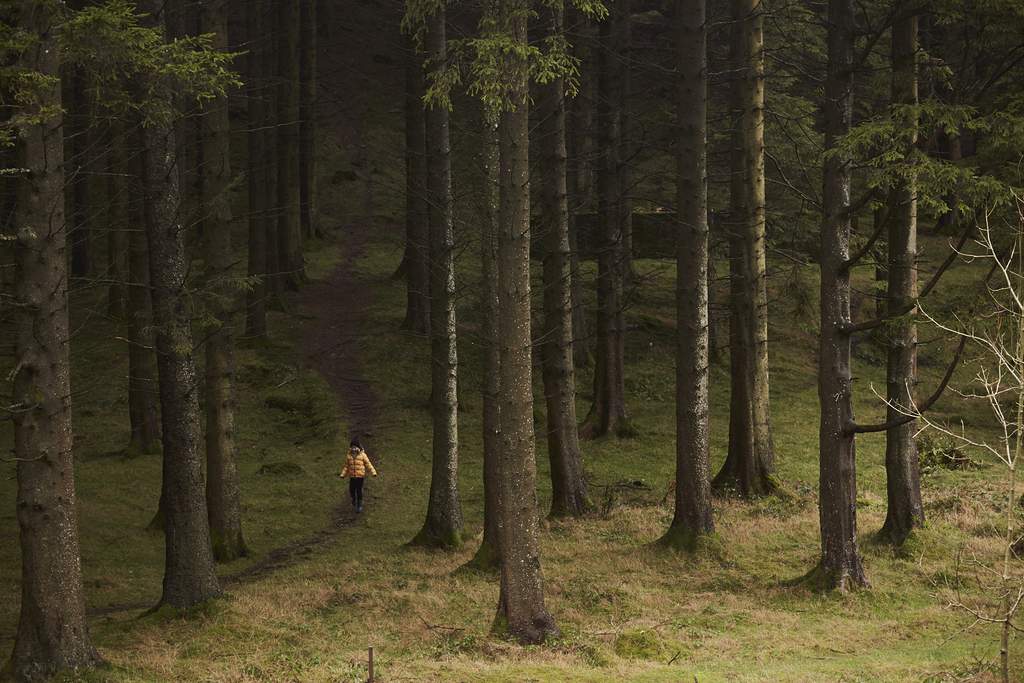 FORAGE & CREATE | ADVENTURE INTO AUTUMN