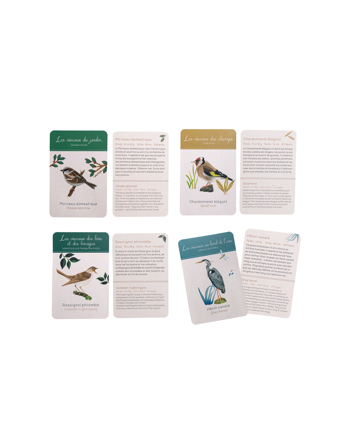 Moulin Roty | Discovery of Birds gift box
