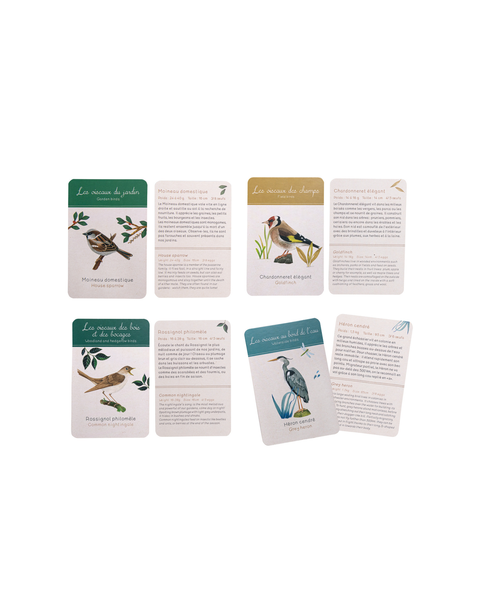 Moulin Roty | Discovery of Birds gift box