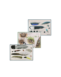 Moulin Roty | Discovery of Birds gift box