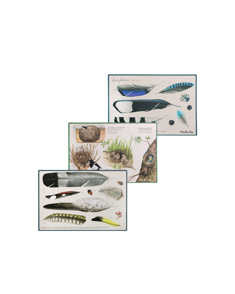 Moulin Roty | Discovery of Birds gift box