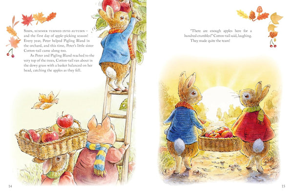 Nature Bookshop | Peter Rabbit : A Tale of Four Seasons