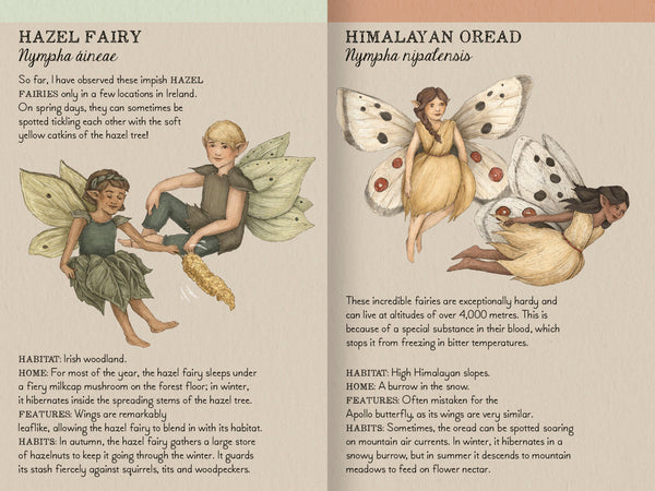 Adventure Shop | Find the Fairies : A Memory Game