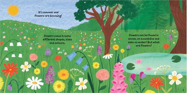 Plant Fun : Fruitful Flowers