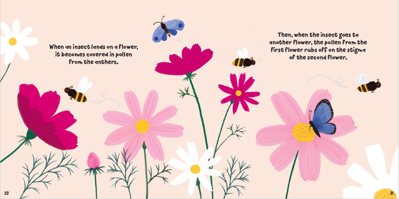 Plant Fun : Fruitful Flowers
