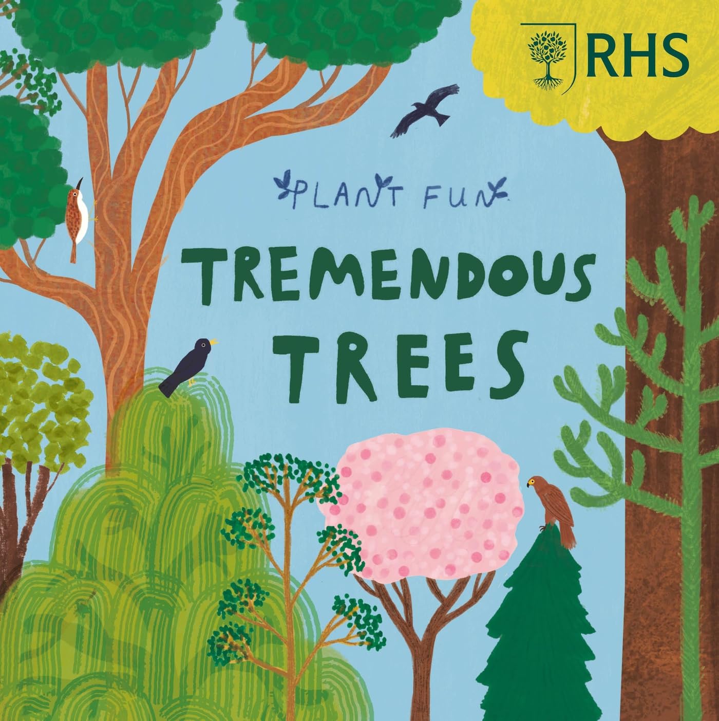 Plant Fun : Tremendous Trees