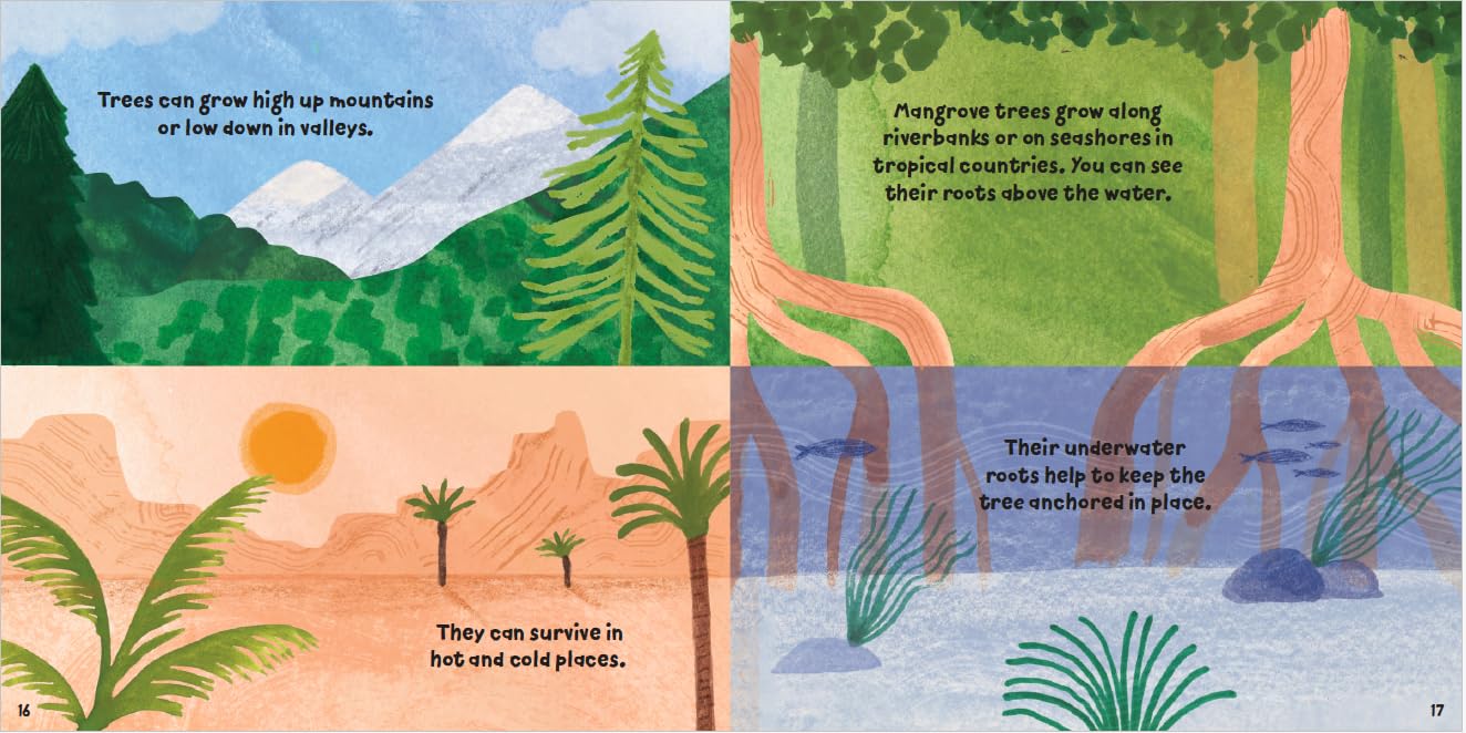 Plant Fun : Tremendous Trees