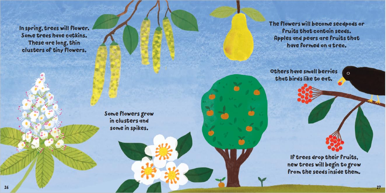 Plant Fun : Tremendous Trees