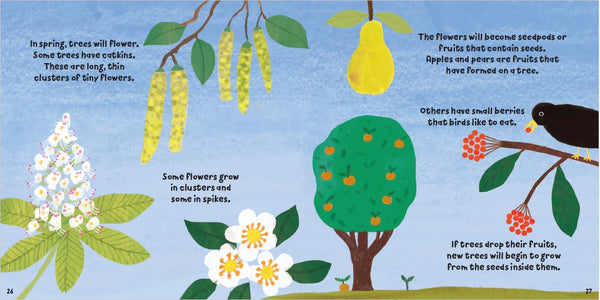 Nature Bookshop | Plant Fun : Tremendous Trees