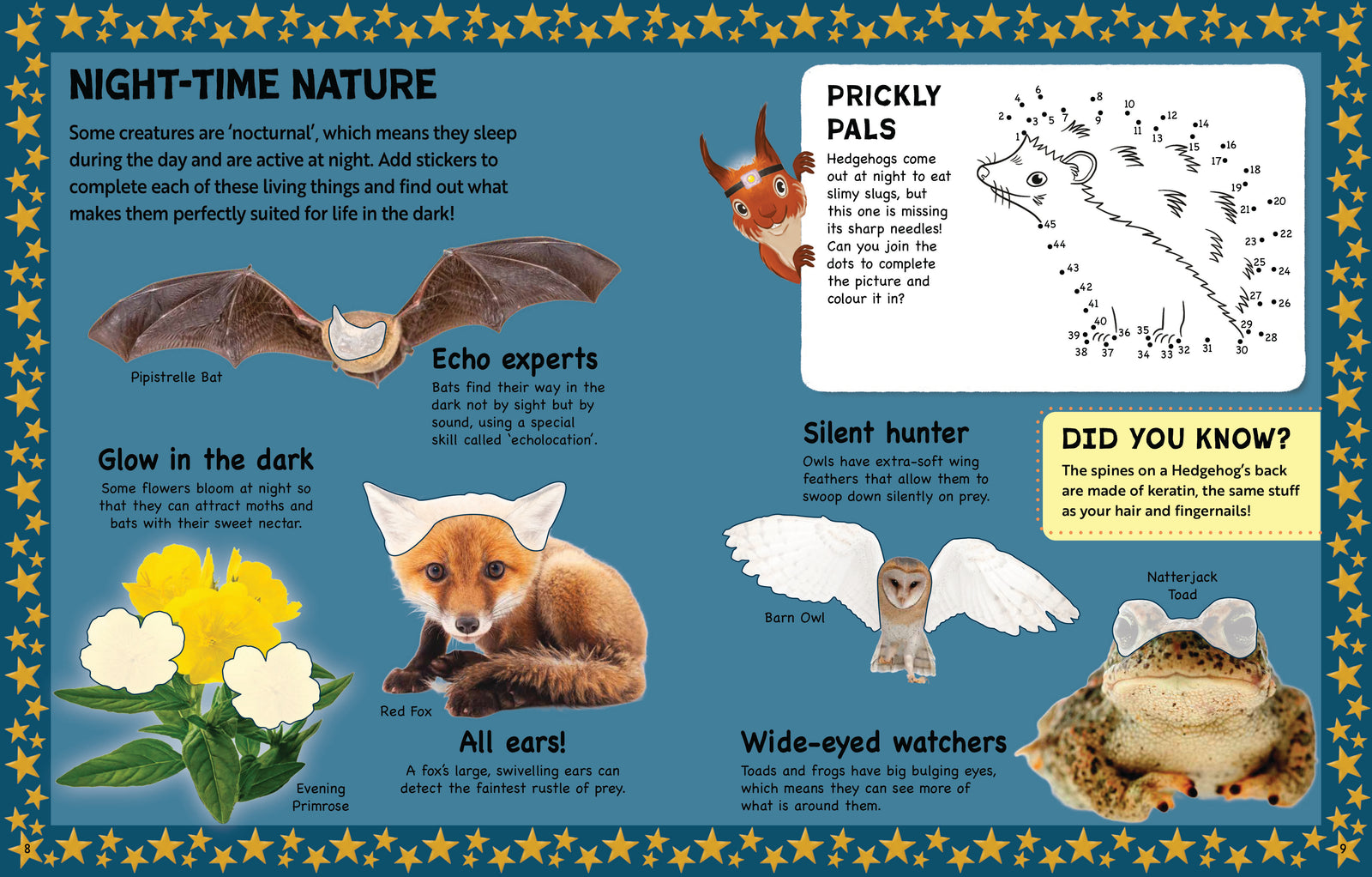 Nature Activity Book