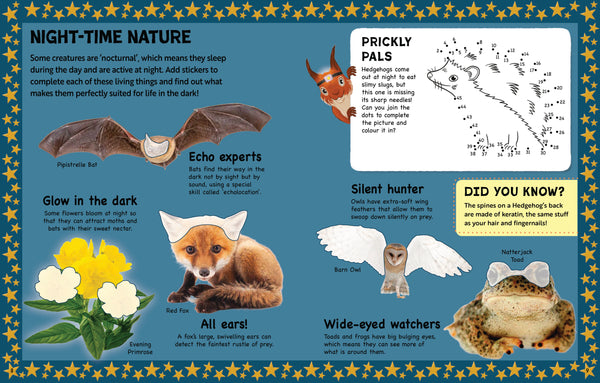 Nature Activity Book