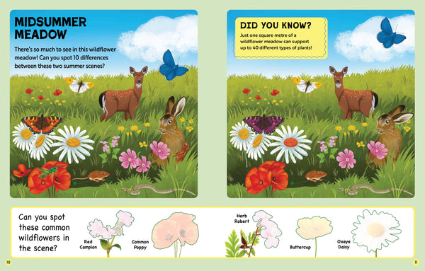 Adventure Shop | Nature Activity Book