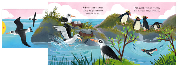 Big Outdoors for Little Explorers : Birds