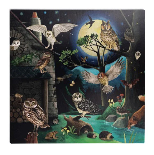 Moulin Roty | Discovery of Birds gift box