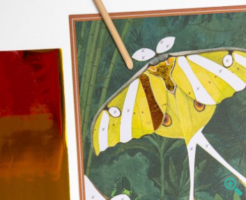 Moulin Roty Fantasy boards Tout autour du monde