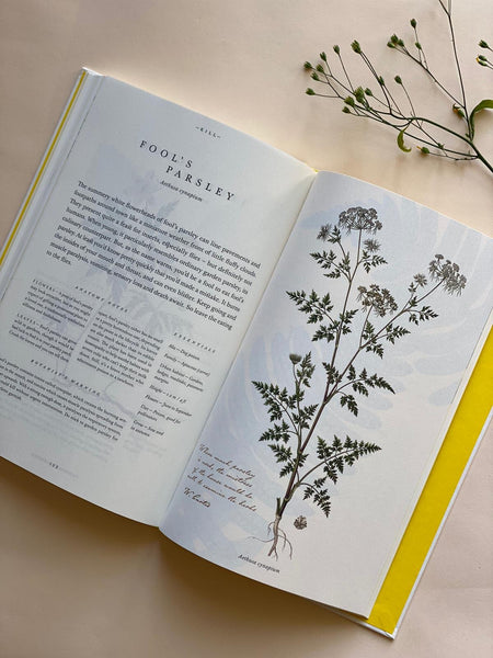 Nature Bookshop | The Botanical City
